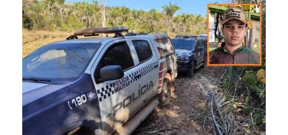 Duas onças são atropeladas ao tentar atravessar rodovia