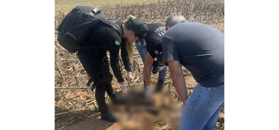 Homem morre esmagado por pneu de trator após tombar enquanto subia barranco em fazenda