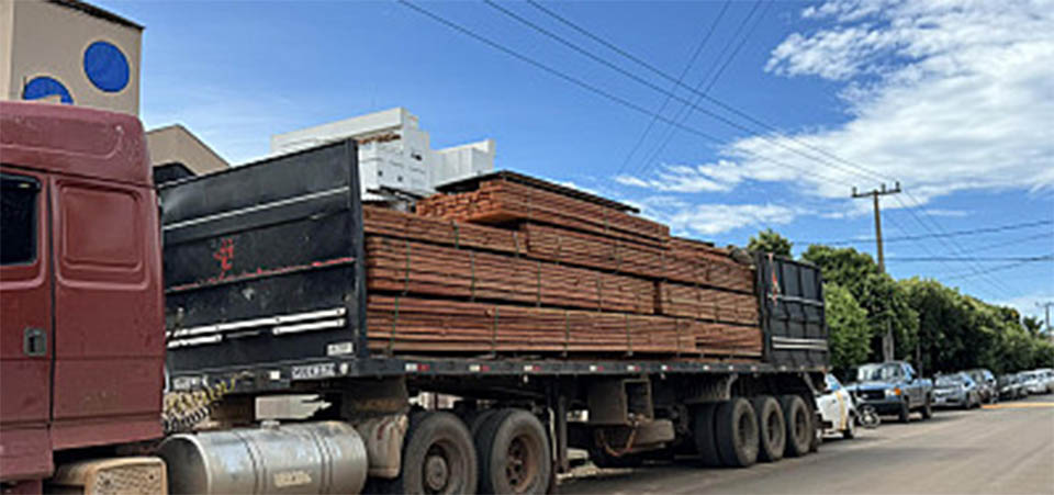 Período proibitivo para exploração do manejo florestal sustentável segue até 1º de abril