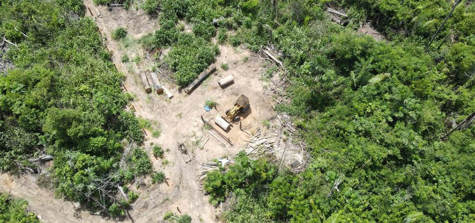 Batalhão Ambiental apreende maquinários, aplica R$ 321 mil em multa e prende homem por exploração ilegal de madeira