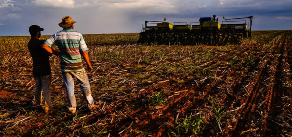 Falta de chuva obriga produtores rurais e replantarem soja no Estado