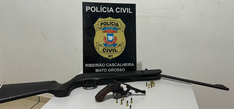 Polícia Civil recupera bovinos e apreende armas e munições com autores de furto
