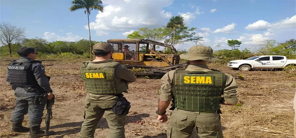 Operações contra crimes ambientais em Mato Grosso resultaram em R$ 2,7 milhões em multas