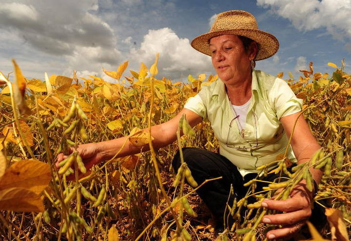 Mulheres lideram 31% das propriedades rurais brasileiras