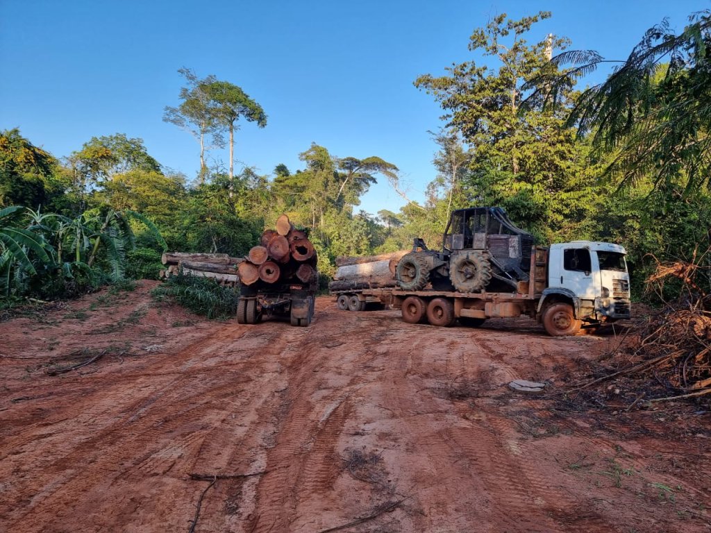 PF apreende 15 caminhões e 3 tratores em ação contra desmatamento