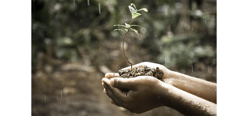 Bioinsumos podem gerar economia de US$ 5,1 bi anuais ao agro brasileiro