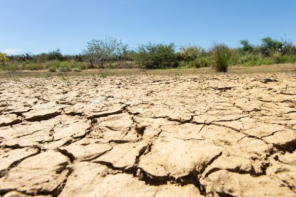 A “próxima pandemia” pode ser a falta de água em diversas partes do planeta