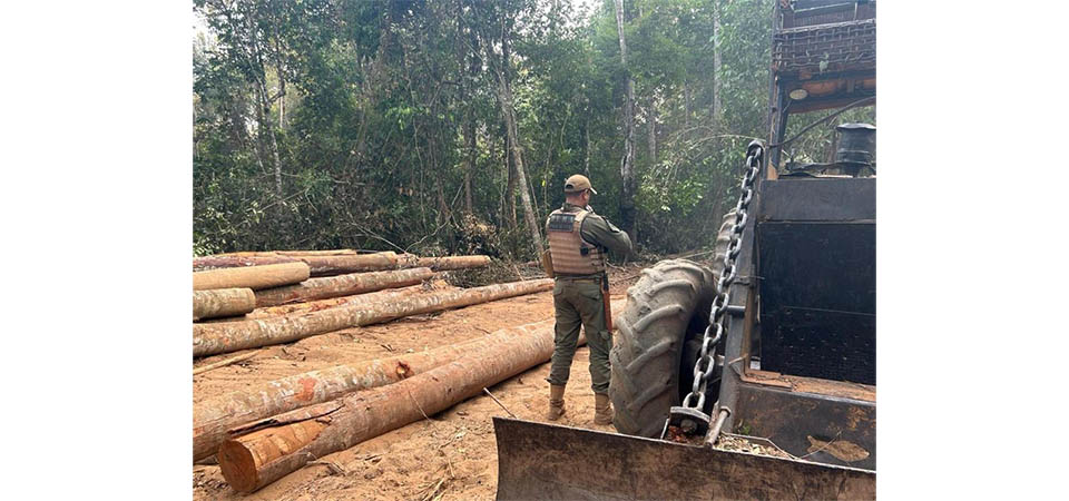 Operação da Polícia Civil cumpre 136 ordens judiciais e mira envolvidos na lavagem de capitais do tráfico