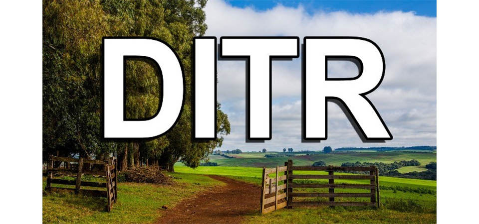 Início do Prazo para Declaração do ITR de 2024