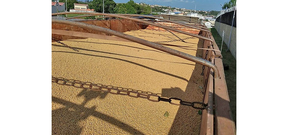 Caminhoneiros usam notas falsas e furtam cargas de soja em armazém