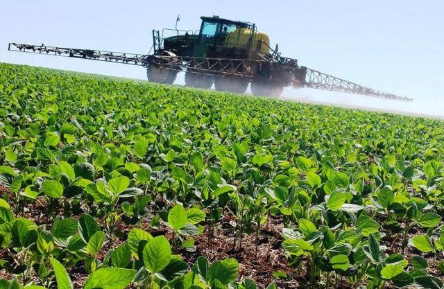 Atraso na entrega de fertilizantes preocupa agricultores da região