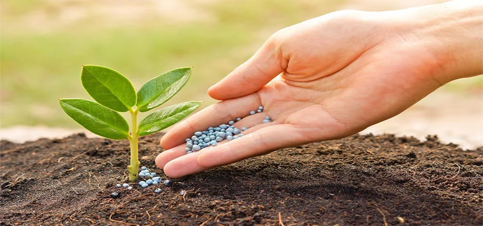 Mato Grosso lidera o consumo nacional de fertilizantes com demanda recorde