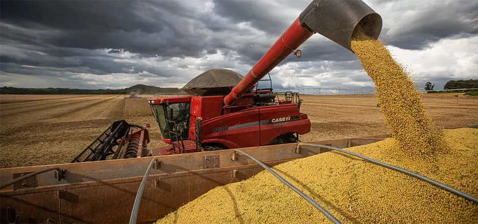 Safra de grãos 2024/25 é estimada em 345,2 milhões de toneladas com recorde na produção de milho e soja
